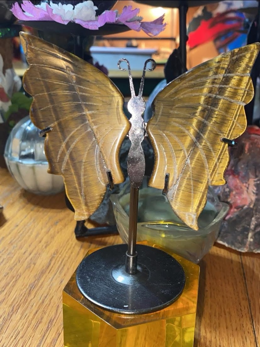 Tiger Eye Butterfly